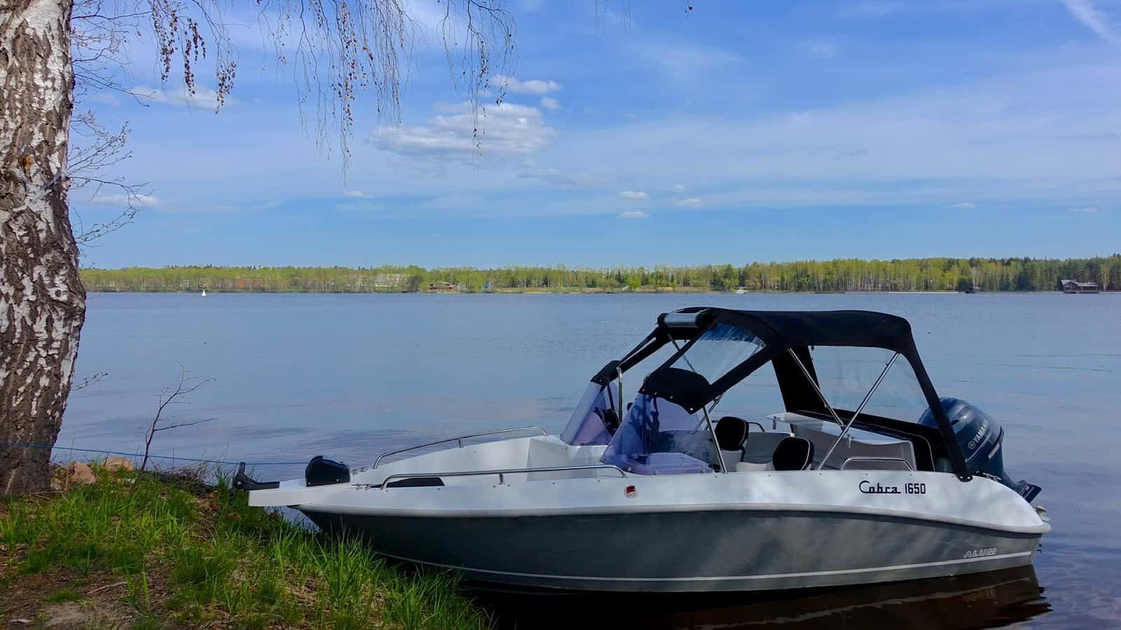 Cobra 1650